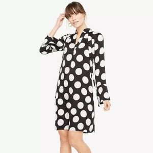 Ann Taylor Polka Dot Swing Dress